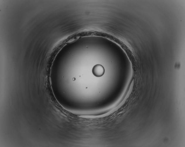 X0000101210872200807071336