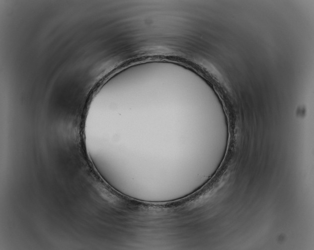 X0000101210873200807071336