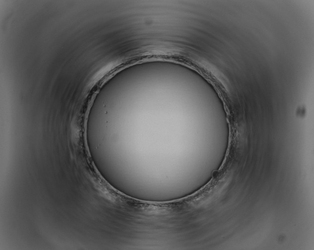 X0000101210874200807071336