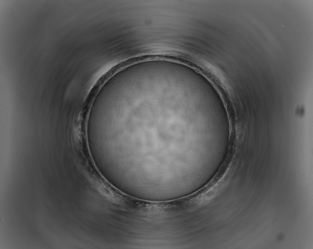 X0000101210875200807071336