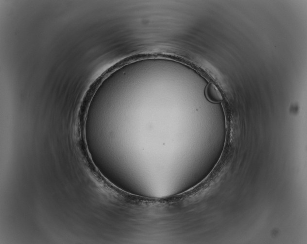 X0000101210876200807071336