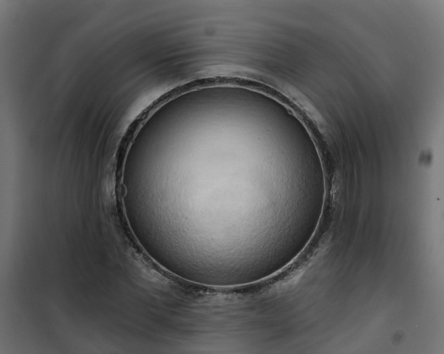 X0000101210877200807071336