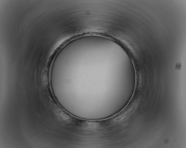 X0000101210878200807071336