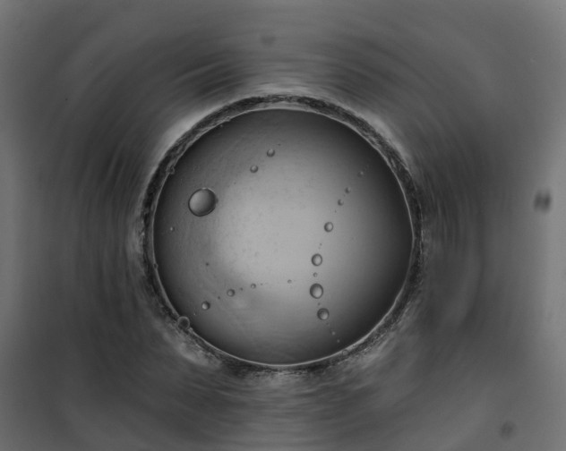 X0000101210879200807071336