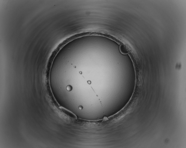 X0000101210880200807071336