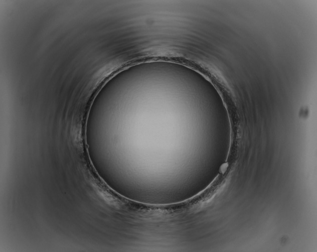 X0000101210881200807071336