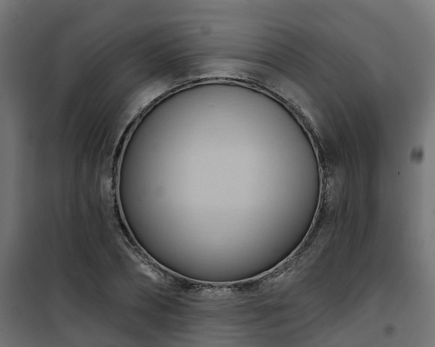 X0000101210882200807071336