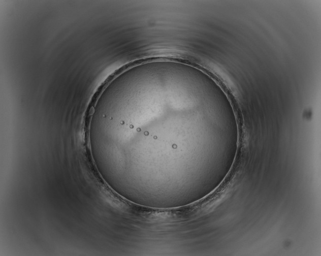 X0000101210883200807071336