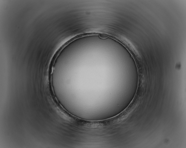 X0000101210884200807071336