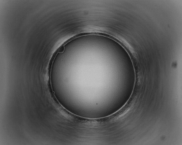 X0000101210885200807071336