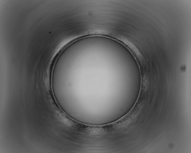 X0000101210886200807071336