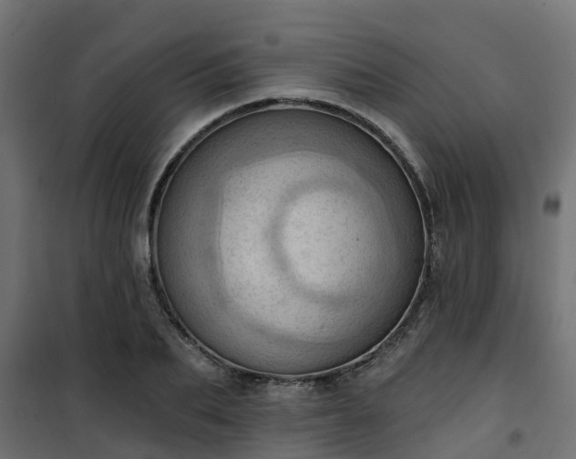 X0000101210887200807071336