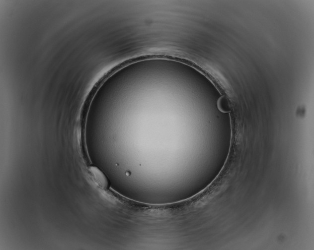 X0000101210888200807071336