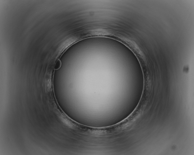 X0000101210889200807071336