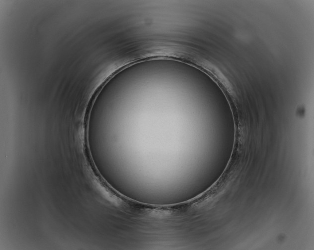 X0000101210890200807071336