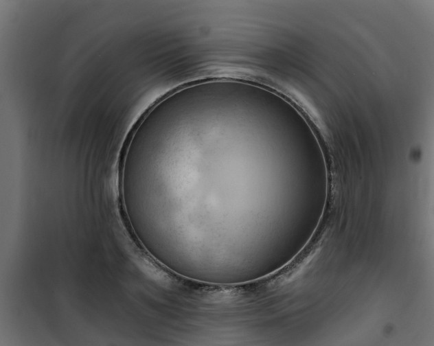 X0000101210891200807071336