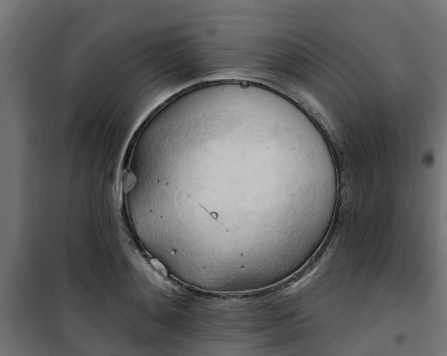 X0000101210892200807071336