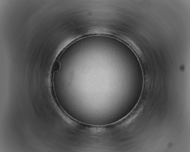 X0000101210893200807071336