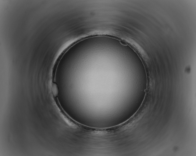 X0000101210894200807071336