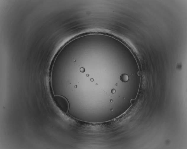 X0000101210895200807071336