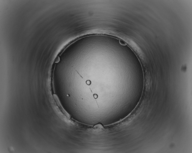 X0000101210896200807071336