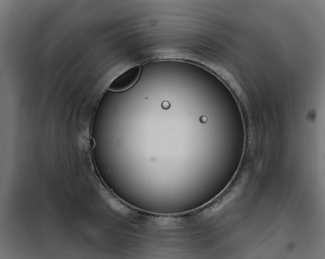 X0000101210897200807071336