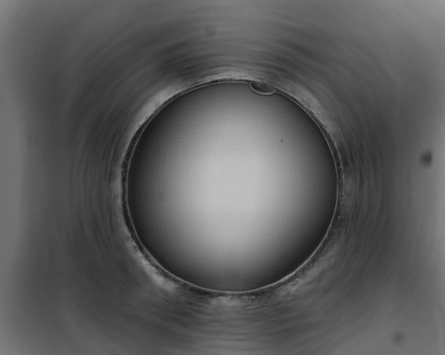 X0000101210898200807071336