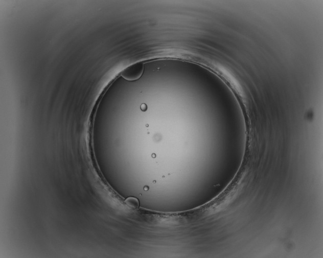 X0000101210899200807071336