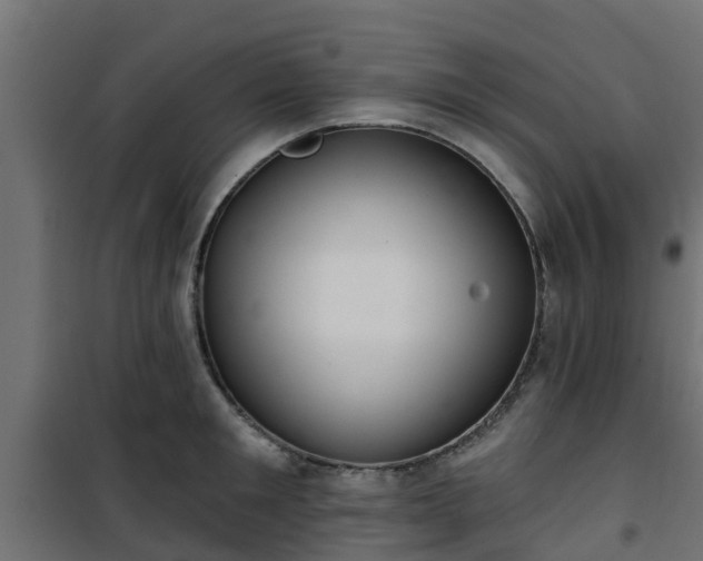 X0000101210901200807071336