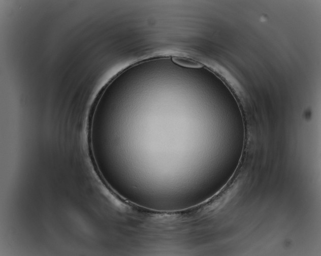 X0000101210902200807071335