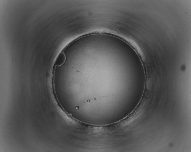 X0000101210903200807071335