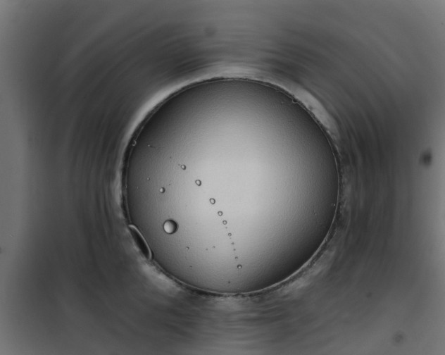 X0000101210904200807071335