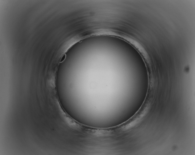 X0000101210905200807071335