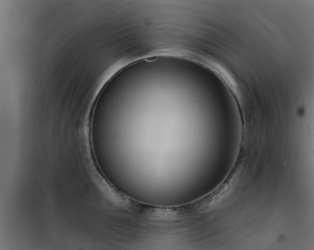 X0000101210907200807071335