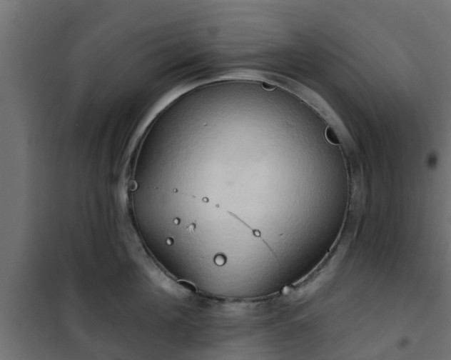 X0000101210908200807071335