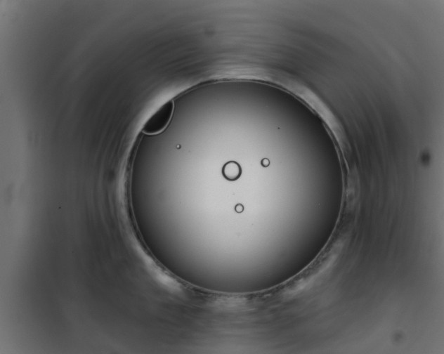 X0000101210909200807071335