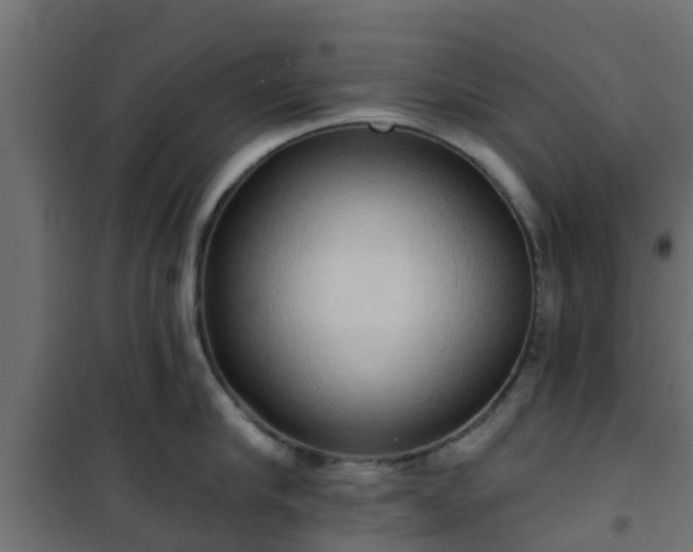 X0000101210910200807071335