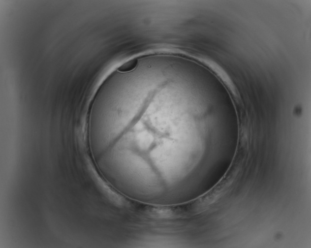 X0000101210911200807071335