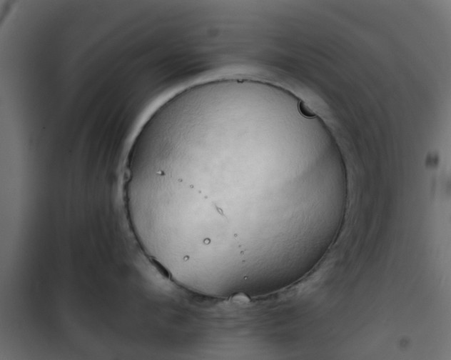 X0000101210912200807071335