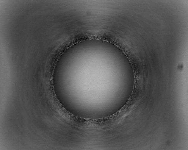 X0000101210913200807071334