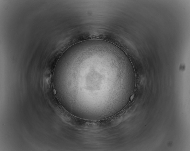 X0000101210914200807071335