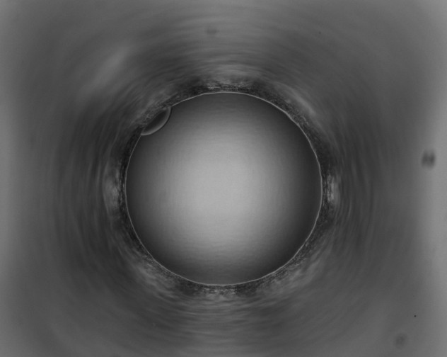 X0000101210915200807071335