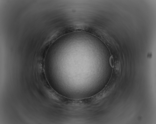 X0000101210916200807071335