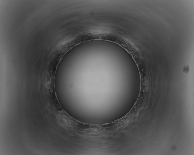 X0000101210917200807071335