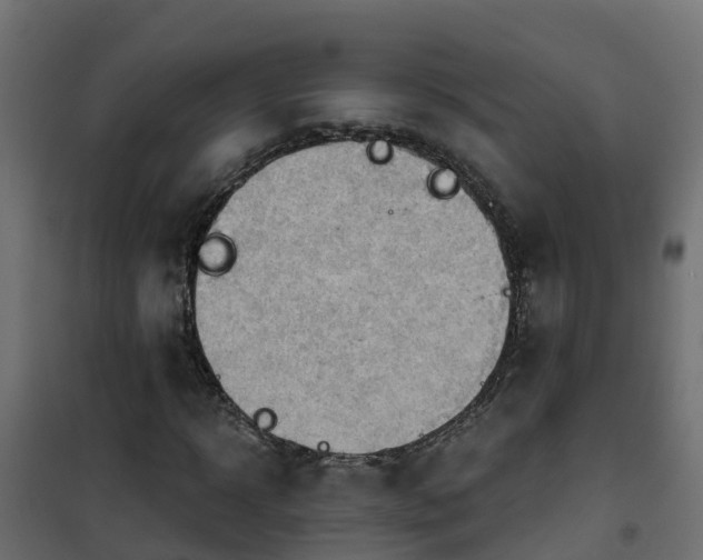 X0000101210918200807071335