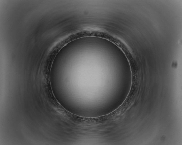 X0000101210919200807071335