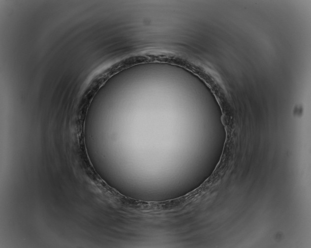 X0000101210920200807071335