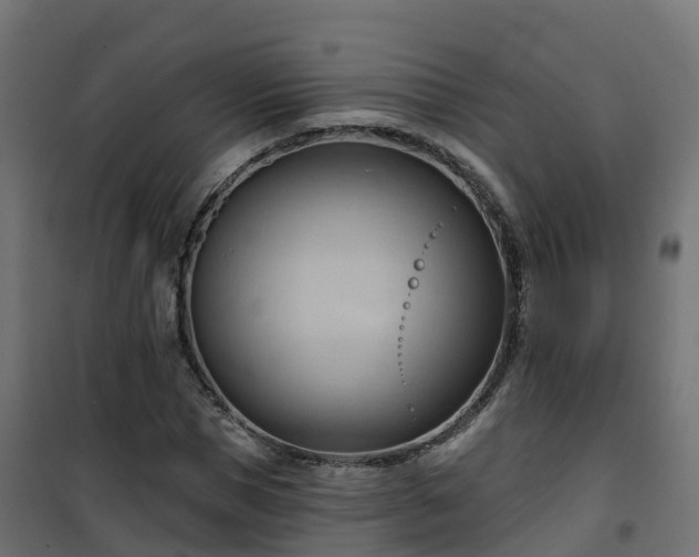 X0000101210921200807071335