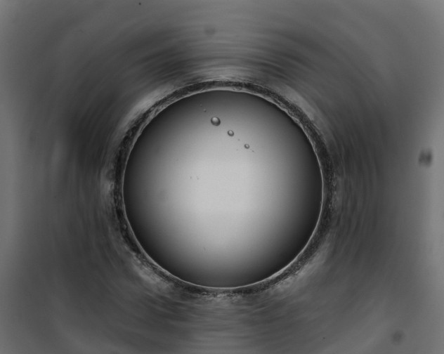 X0000101210922200807071335