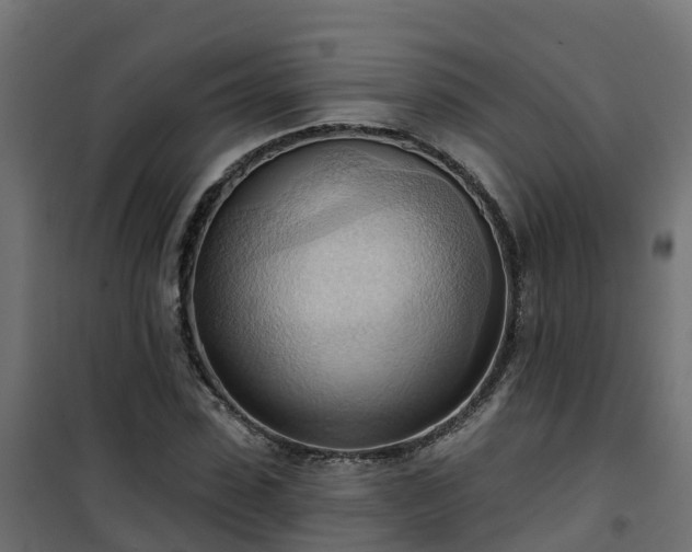 X0000101210923200807071335